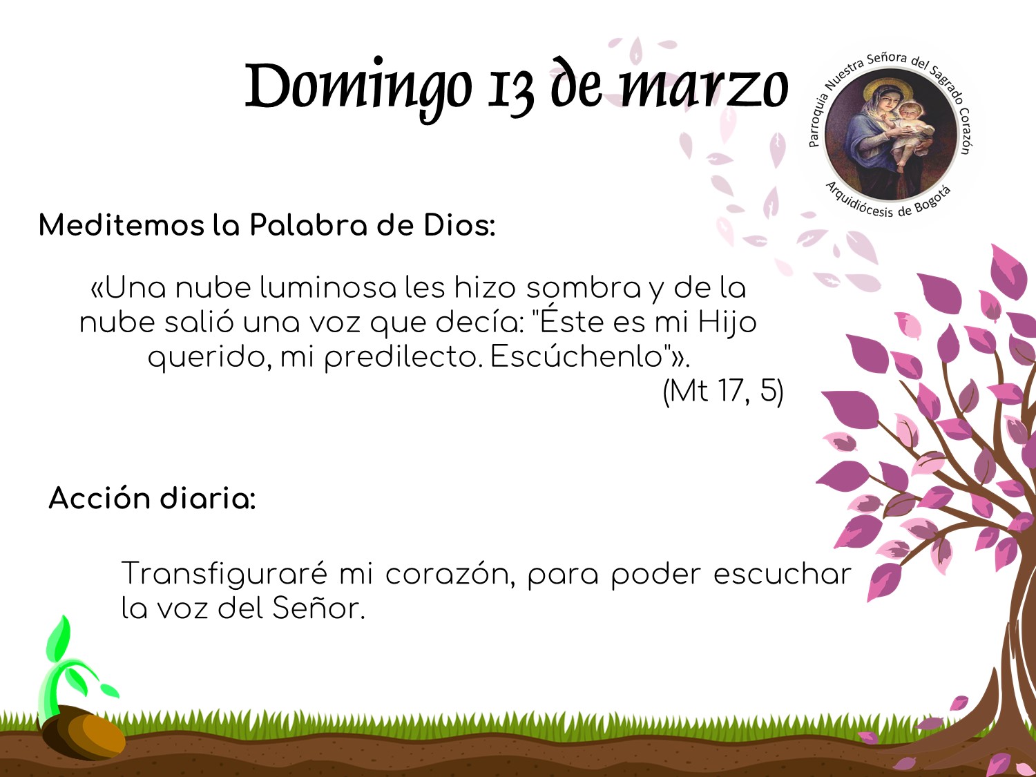 dia12cuaresma
