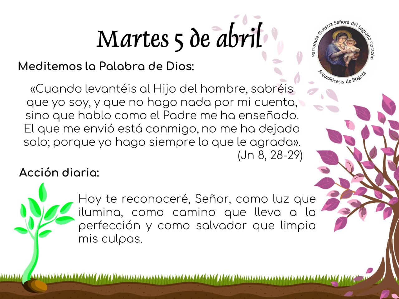 dia35cuaresma