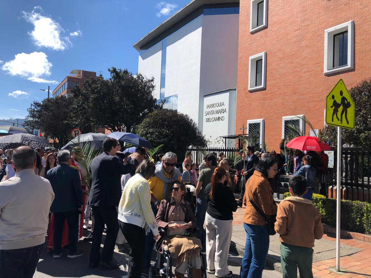 Domingo de Ramos 2025 2