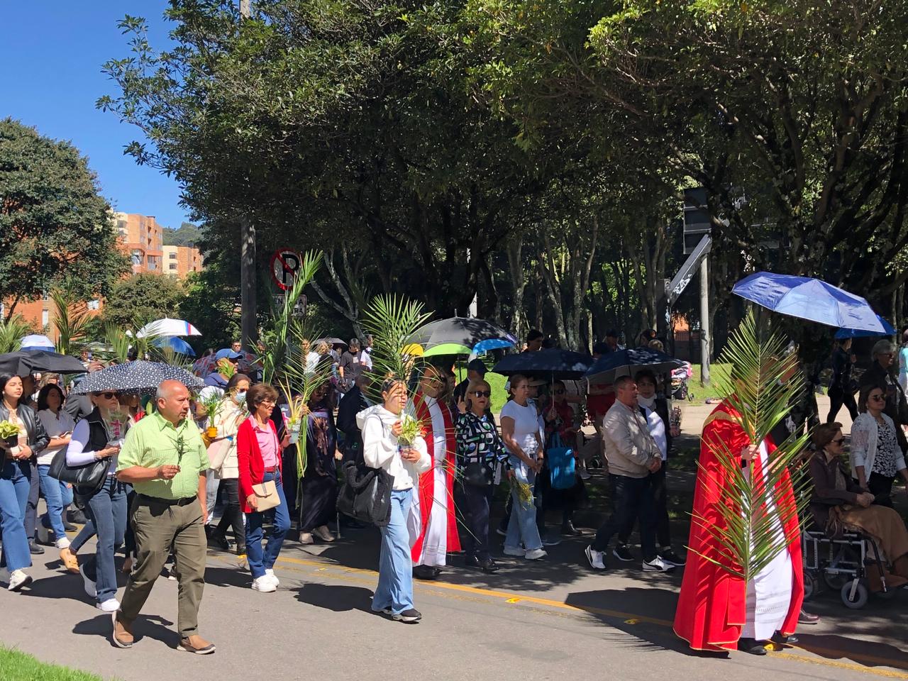 Domingo de Ramos 2025 7