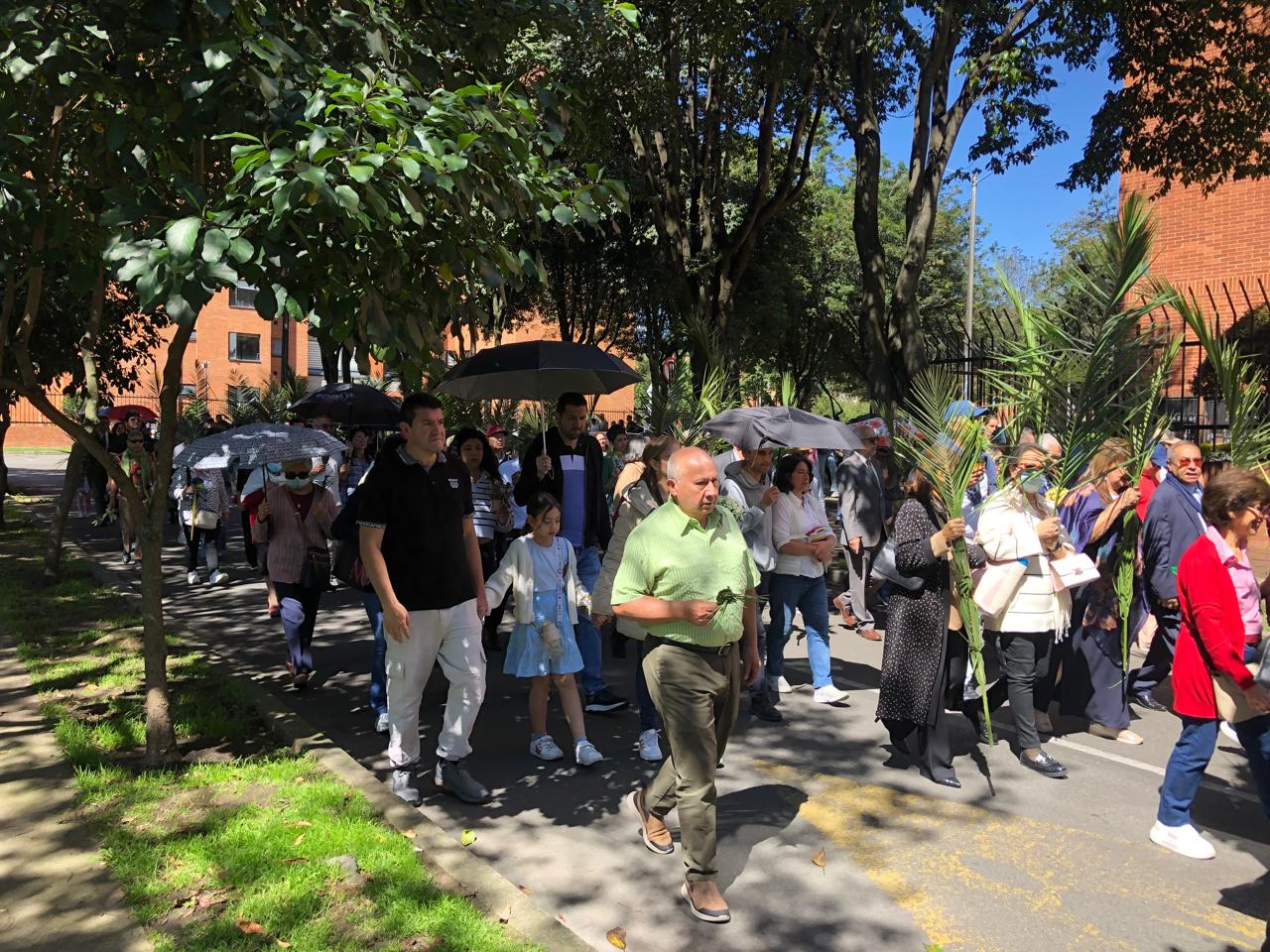 Domingo de Ramos 2025 9