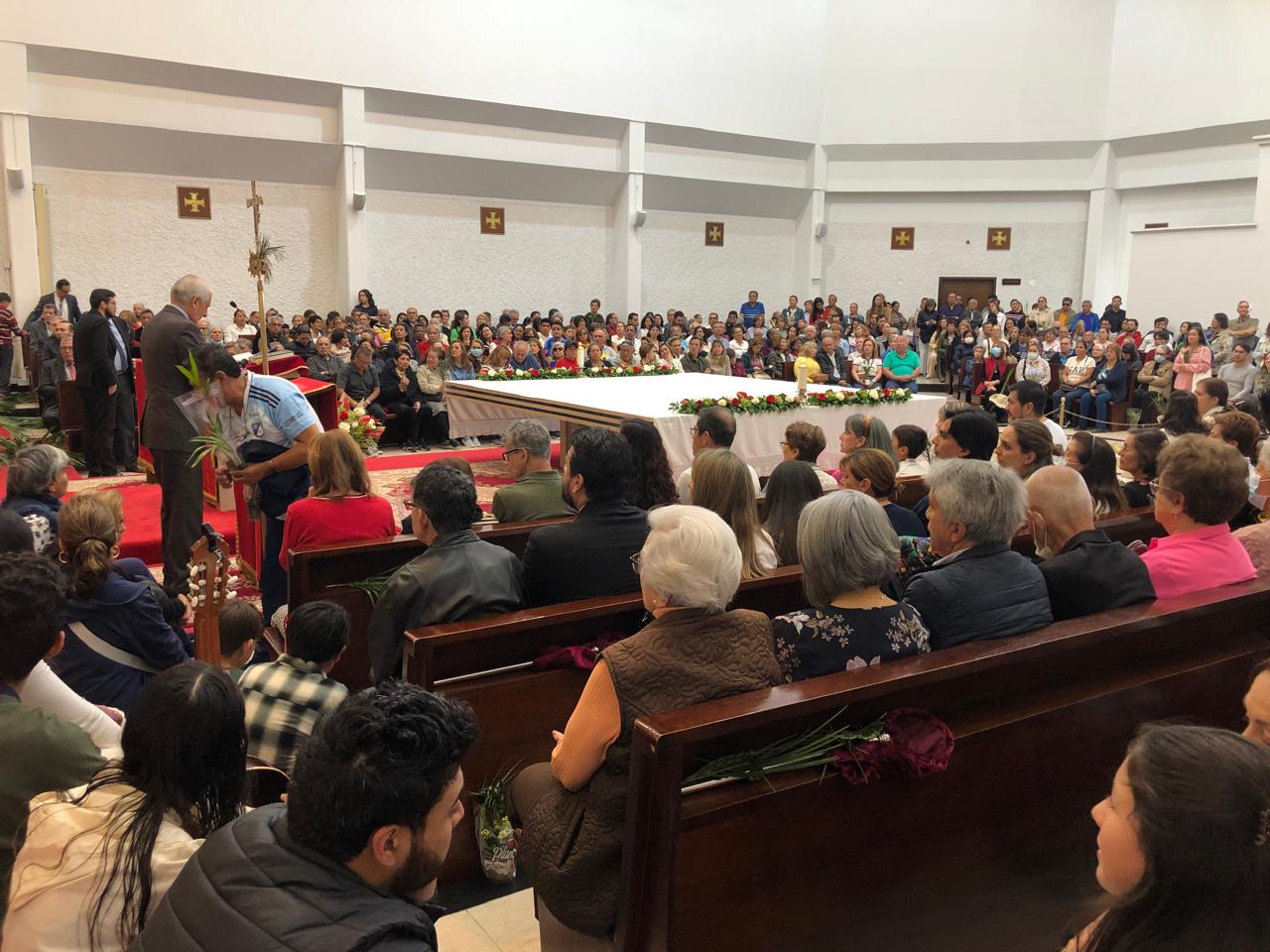 Domingo de Ramos 2025 12