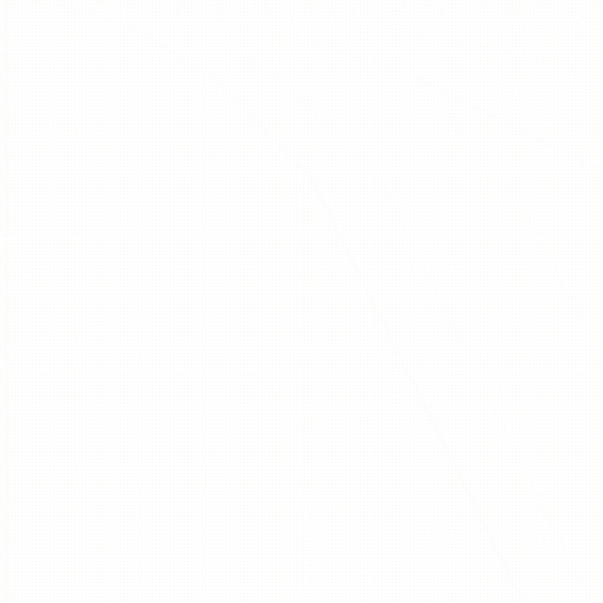 this slowpoke moves