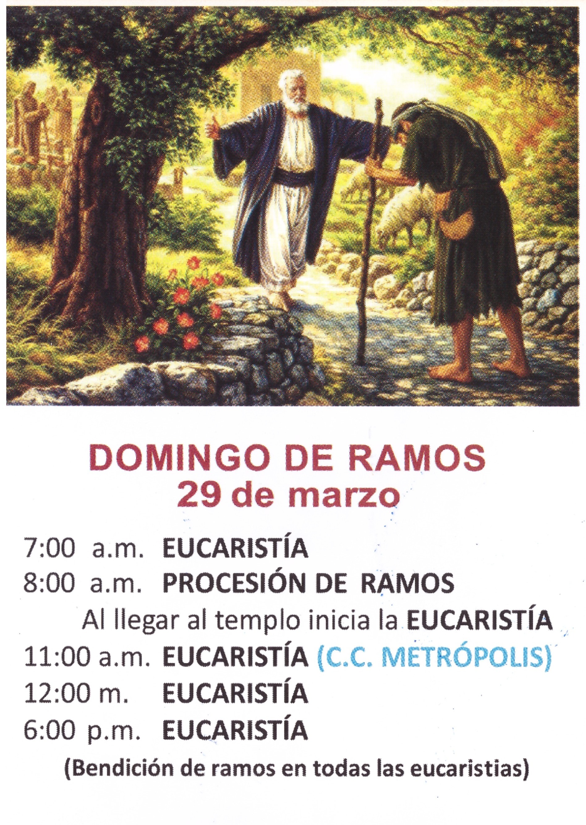 IMAGEN DOMINGO DE RAMOS