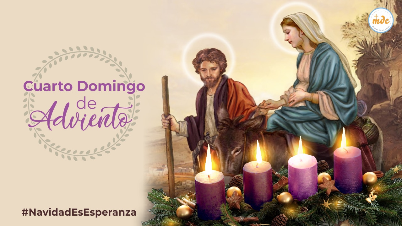 Horarios