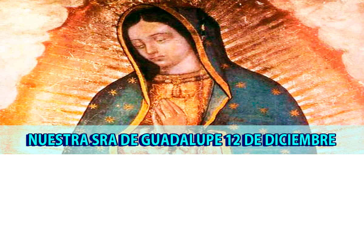 Horarios