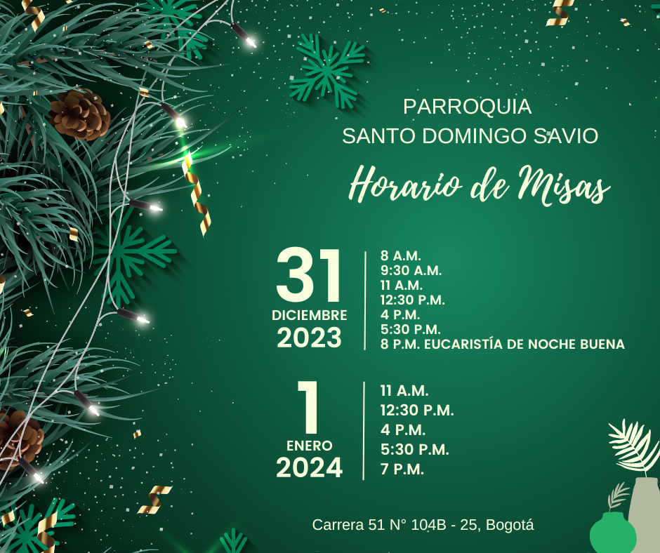 misas santo domingo savio