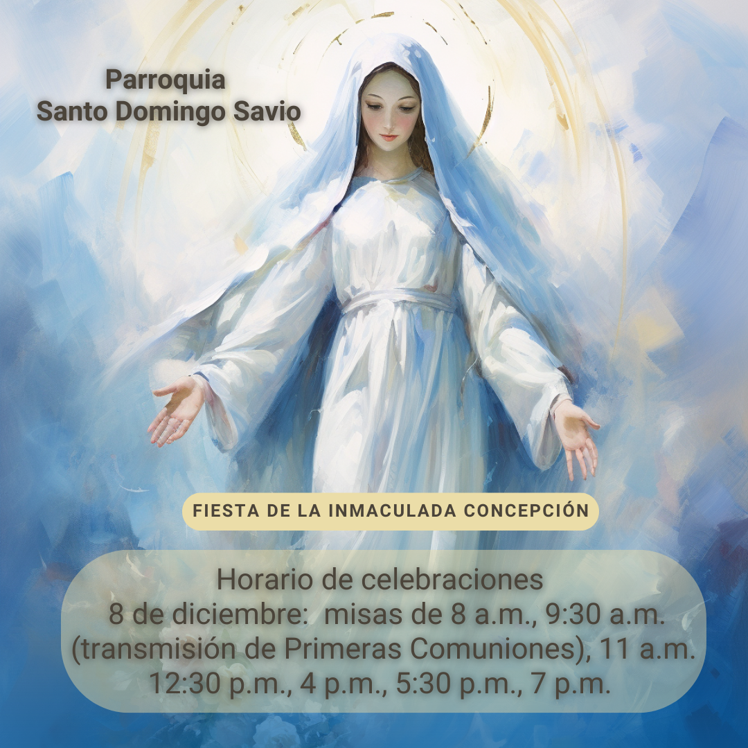 misas santo domingo savio