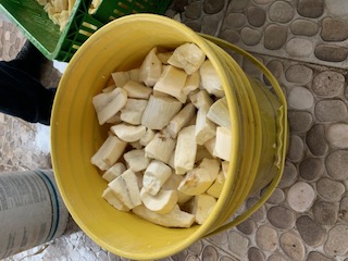 https://arquimedia.s3.amazonaws.com/62/sancocho-casa-adriana/1-13jpg.jpg