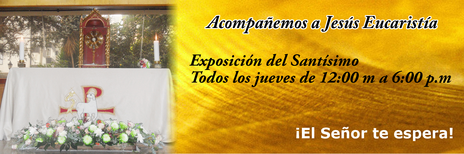 https://arquimedia.s3.amazonaws.com/256/formacion-catolica/jesuspng.png