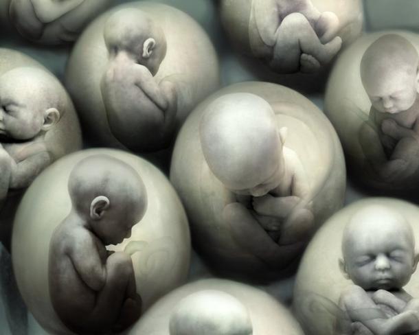 https://arquimedia.s3.amazonaws.com/63/noticias/embriones-humanosjpg.jpg