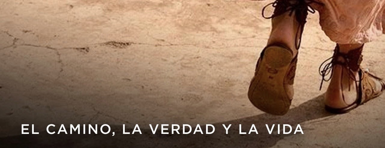 https://arquimedia.s3.amazonaws.com/280/evangelio-dominical/imagen-meditacion-10-de-mayo-2020png.png