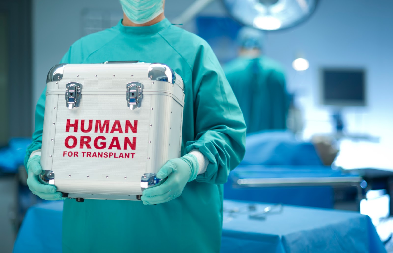 Está la Iglesia a favor de la donación de órganos? Este conmovedor video me  dio la respuesta | Arquidiócesis de Bogotá