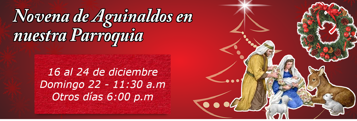 https://arquimedia.s3.amazonaws.com/256/formacion-catolica/bannernovenasverbumpng.png