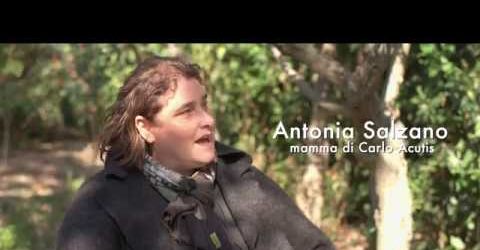 https://arquimedia.s3.amazonaws.com/264/publicaciones/mama-de-carlo-acutisjpg.jpg