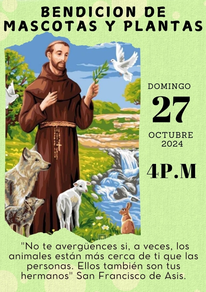 DOMINGO 27 OCTUBRE