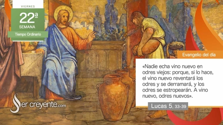evangelio del dia
