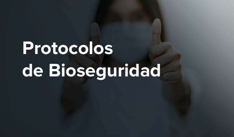 Bioseguridad Dei Verbum