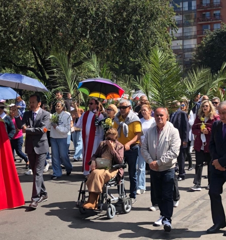 Domingo de Ramos 2025 5