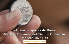 evangelio del dia