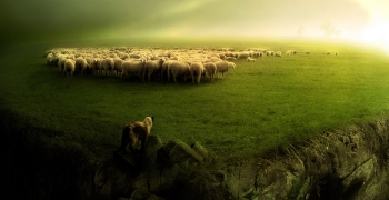https://arquimedia.s3.amazonaws.com/63/ensenanza-domingo/ws-sheep-and-wolf-1920x1200jpg.jpg