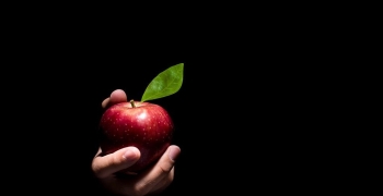 manzana
