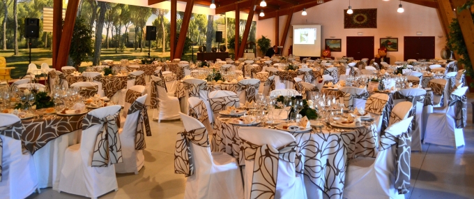 celebración fiesta